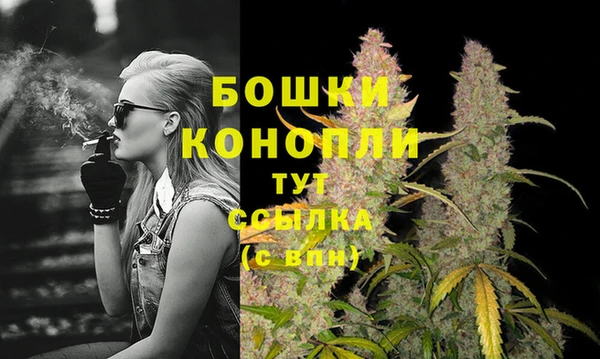 соль ск Строитель