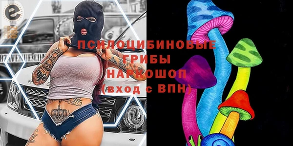 дмт Дмитров