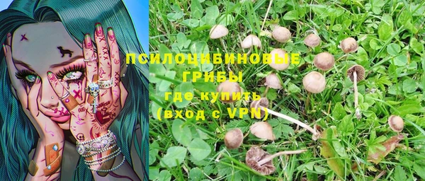 соль ск Строитель
