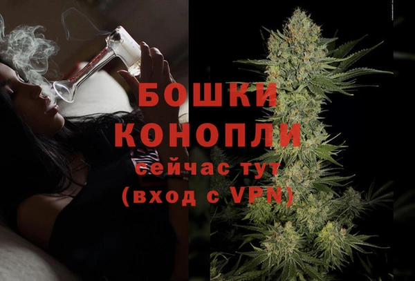 соль ск Строитель