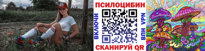 Галлюциногенные грибы Magic Shrooms  OMG как войти  Александровск-Сахалинский 
